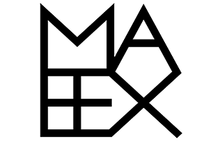 MS Arts and Entertainment Experience